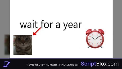 SILLY SCRIPT THAT YOU USE TO WAIT 1 YEAR