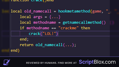 give me a script to crack