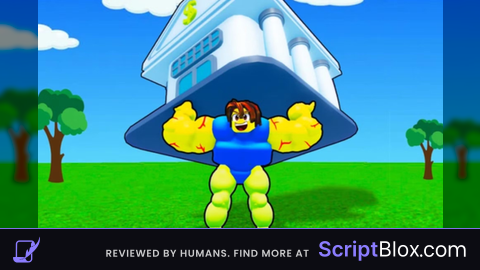 OP SCRIPT