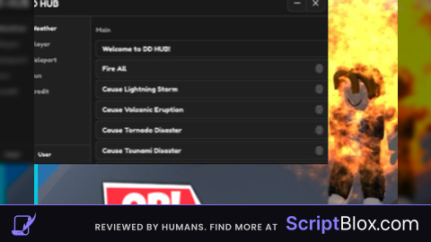 DD HUB