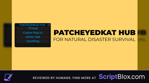 Patche*Kat Hub for