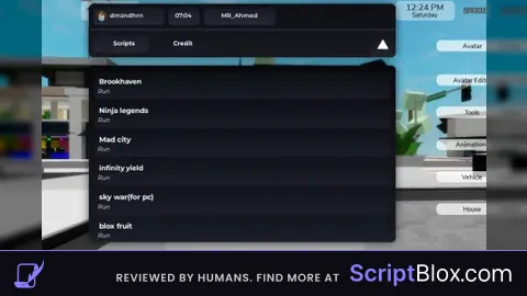 Premium script