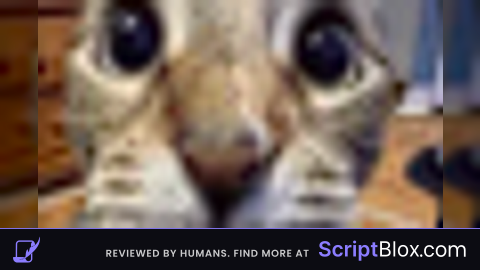Catbypasser