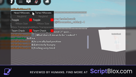Universal Hitbox Expander V2