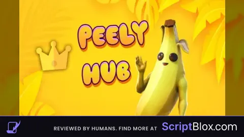 PEELY HUB V3