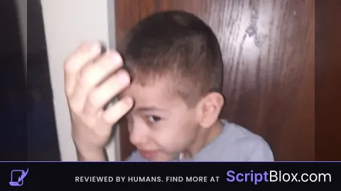 Best fly script ever