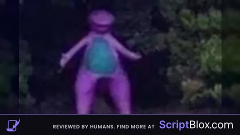 midnightcc