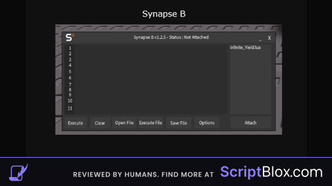 Synapse B UI GUI
