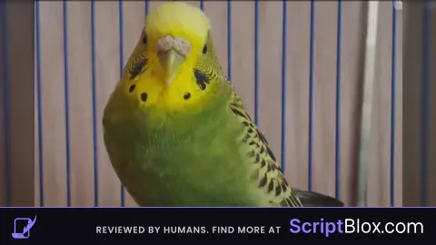 Error recognizer