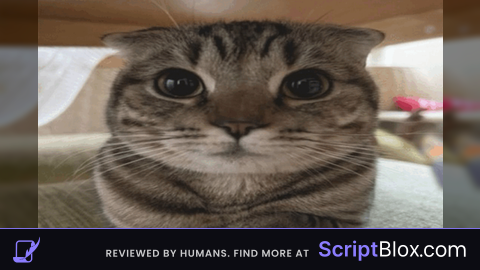 vadrift chat bypasser open source