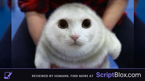 bear alpha script dudee