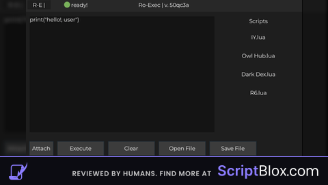 RoExec Internal Ui