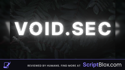 VoidSec