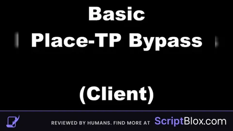 Client Anti Place TP