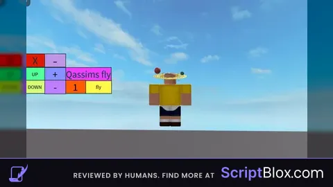 Fly