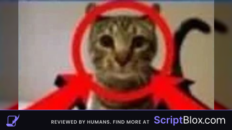 Anti Kick Script