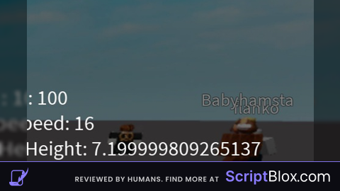 Debug Universal