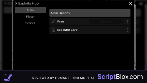 X Hub Beta V3