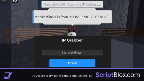 Ip Address Check