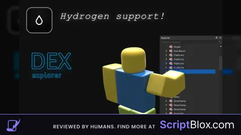 Hydrogen support DexV4