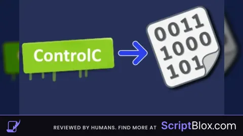 Raw ControlC script
