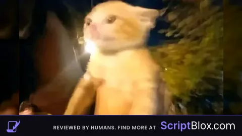 Teleport Player Script work solara All Executor