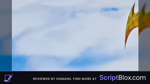 Script