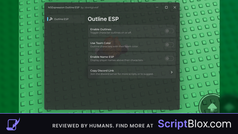 Outline ESP