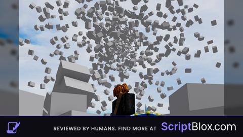 Block S*er and Invisfling