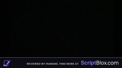 Universal fly script