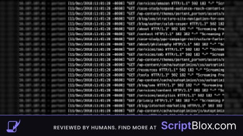 Server Log Script