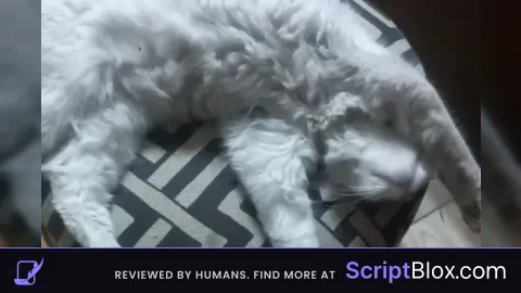 Really useful script for obbys