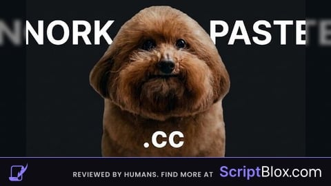Norkpaste.cc