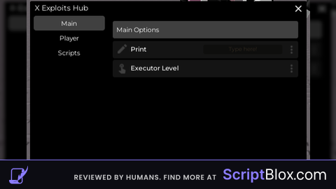 X Hub Beta