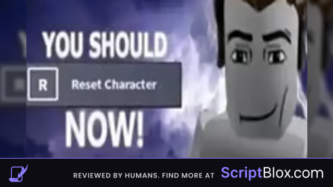 OPEN SOURCE Force Reset Player
