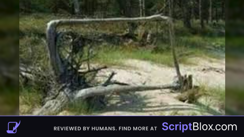 OP GROUND KISSER SCRIPT