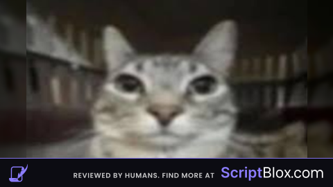 AxonuBot UPDATED