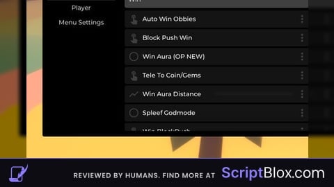AUTO WIN ETC