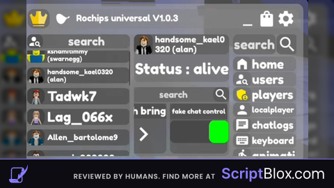 Rionays Rochips panel  script