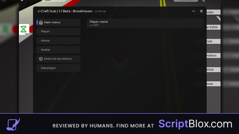 cCtaft hub