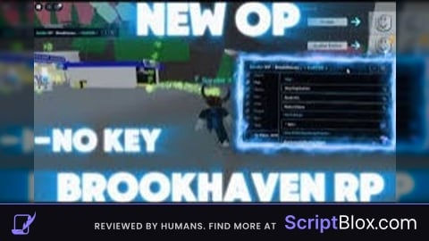 SANDER XY BROOKHAVEN