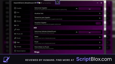 HavenXClient