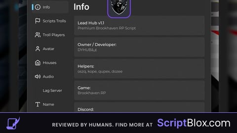 Brookhaven OP DESTROY SERVERS