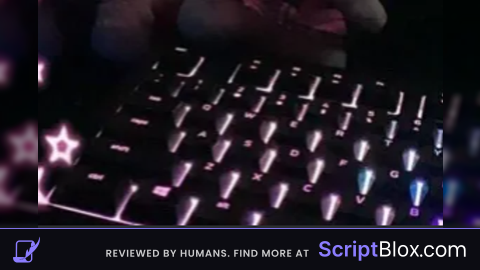 B scripts Hub