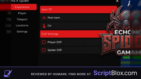 Script 5 launguage