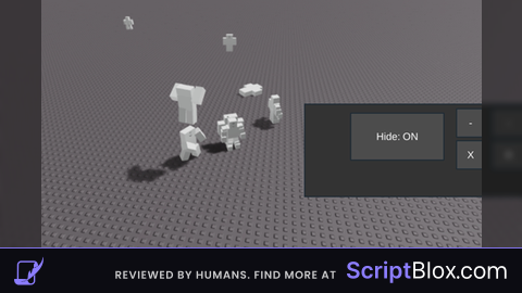 Hidden player