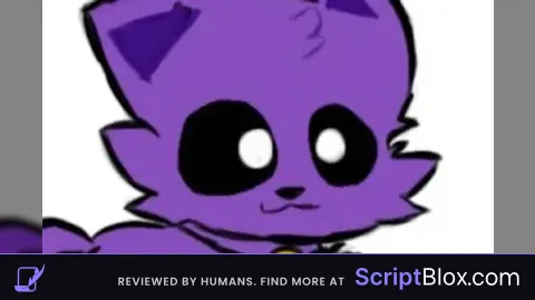 Catnap Hub beta test