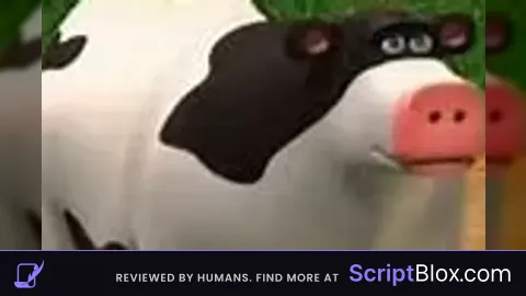 coco hub