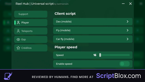 Rael Hub Universal