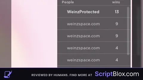 Universal NameProtect NameHide script
